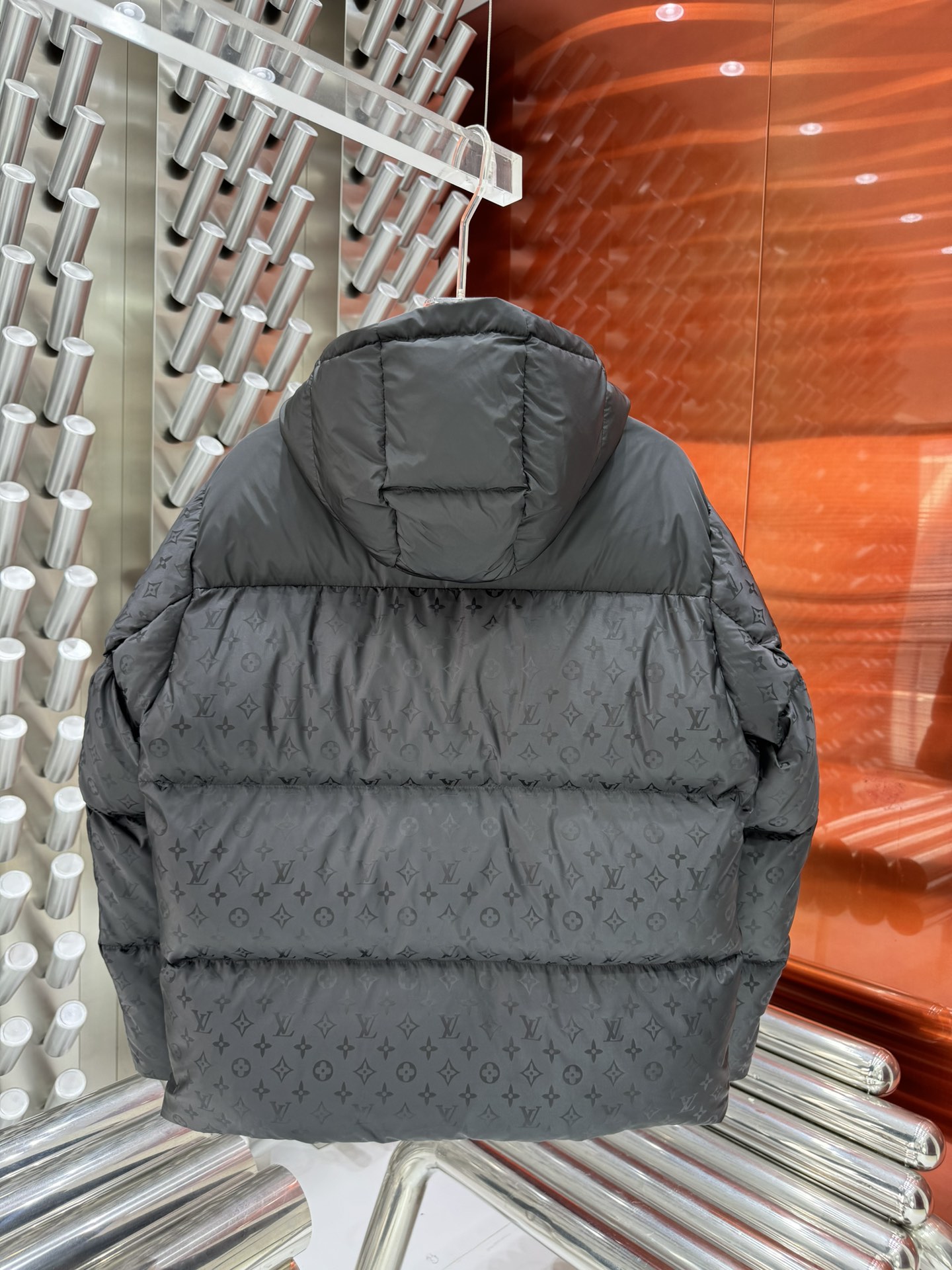 Louis Vuitton Down Jackets